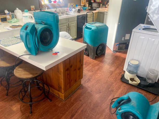 Best Water damage cleanup near me  in Marlene Village, OR